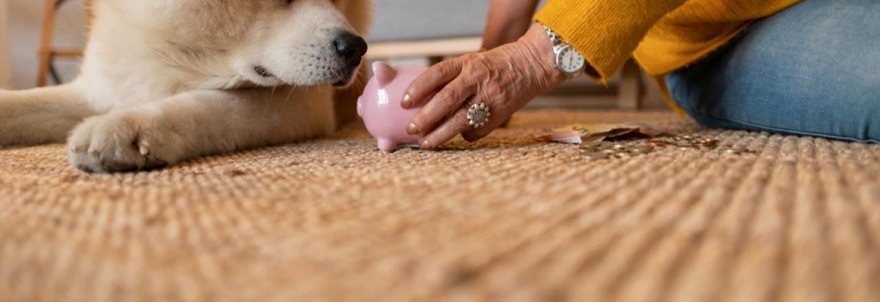 Incentives and Savings, Dog with piggy bank